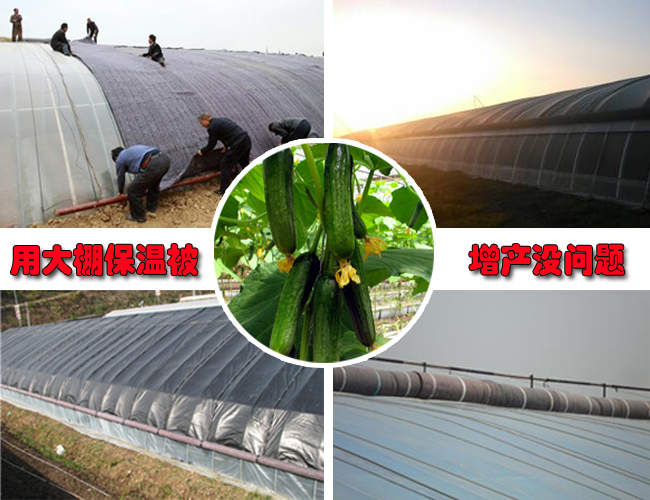 �����ޱ���ô���bҕ�l