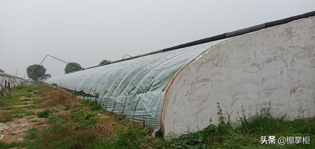 �����ޱ����Ӿ�����