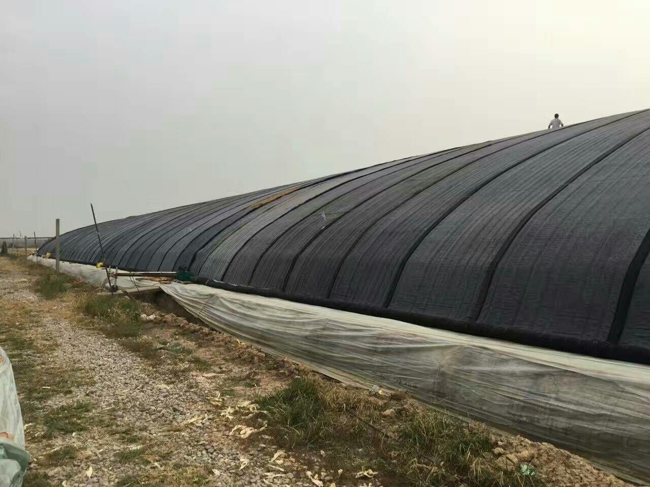 長春市大棚棉被廠家批發(fā)價格