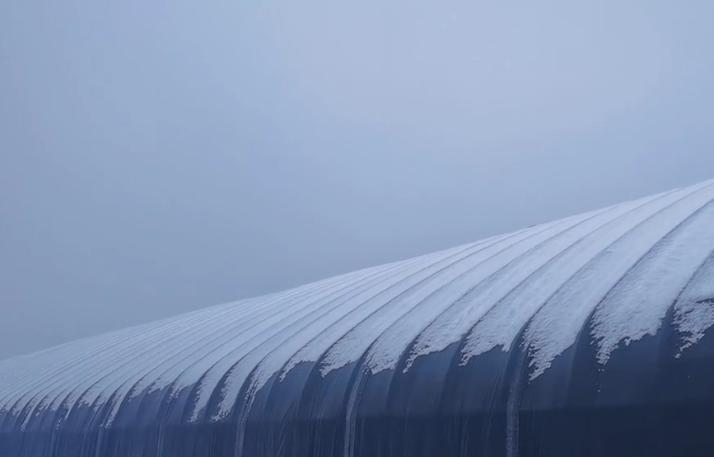 ��ѩ��Ҫ�������ޱ���