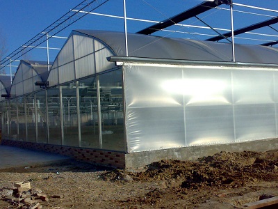 �B�������(n��i)���ش��