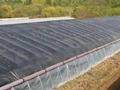 ������ﱣ�ر�