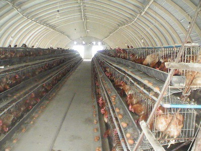 ������ﱣ�ر�