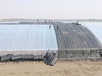 ���̱��ر�